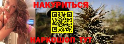 дживик Кингисепп