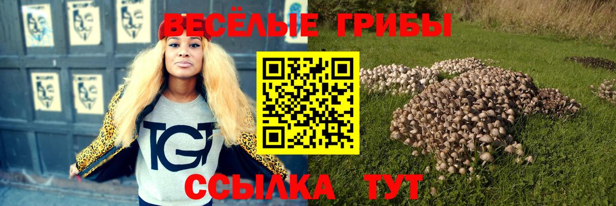 Псилоцибиновые грибы GOLDEN TEACHER Краснознаменск