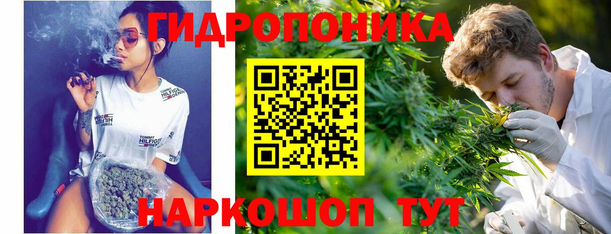 Краснознаменск  Шишки марихуана VHQ  Вход с VPN  Шишки марихуана Amnesia 